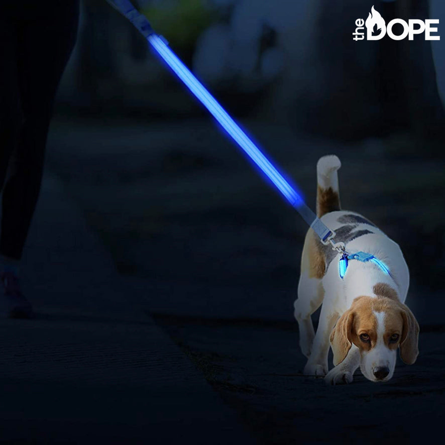 Lightsaber dog leash best sale